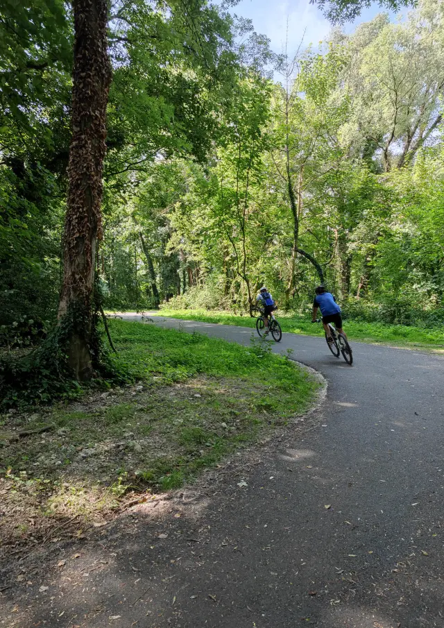 Beauchamps Chemin Entre Verre Et Mer 021 2