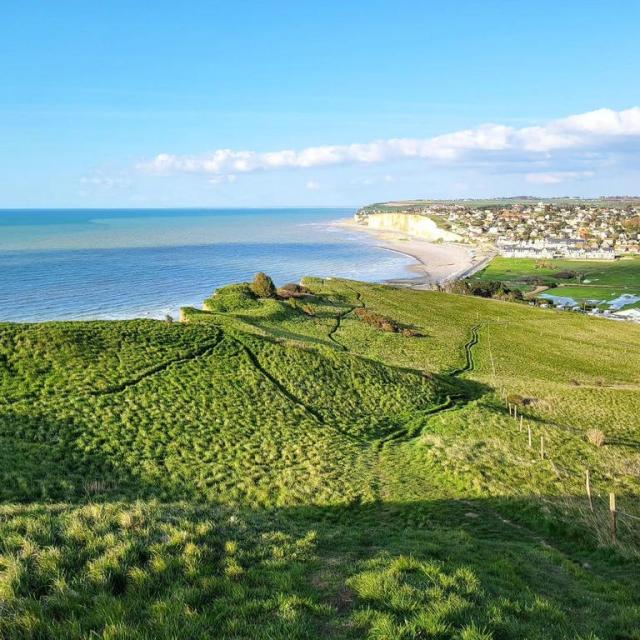 Instagram #crielsurmer