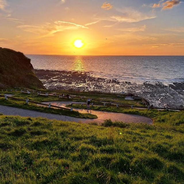 Instagram #boisdecise