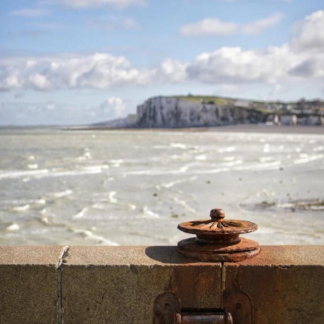 Instagram #letreport