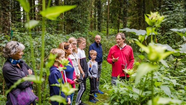 Jardin Jungle Karlostachys - Eu